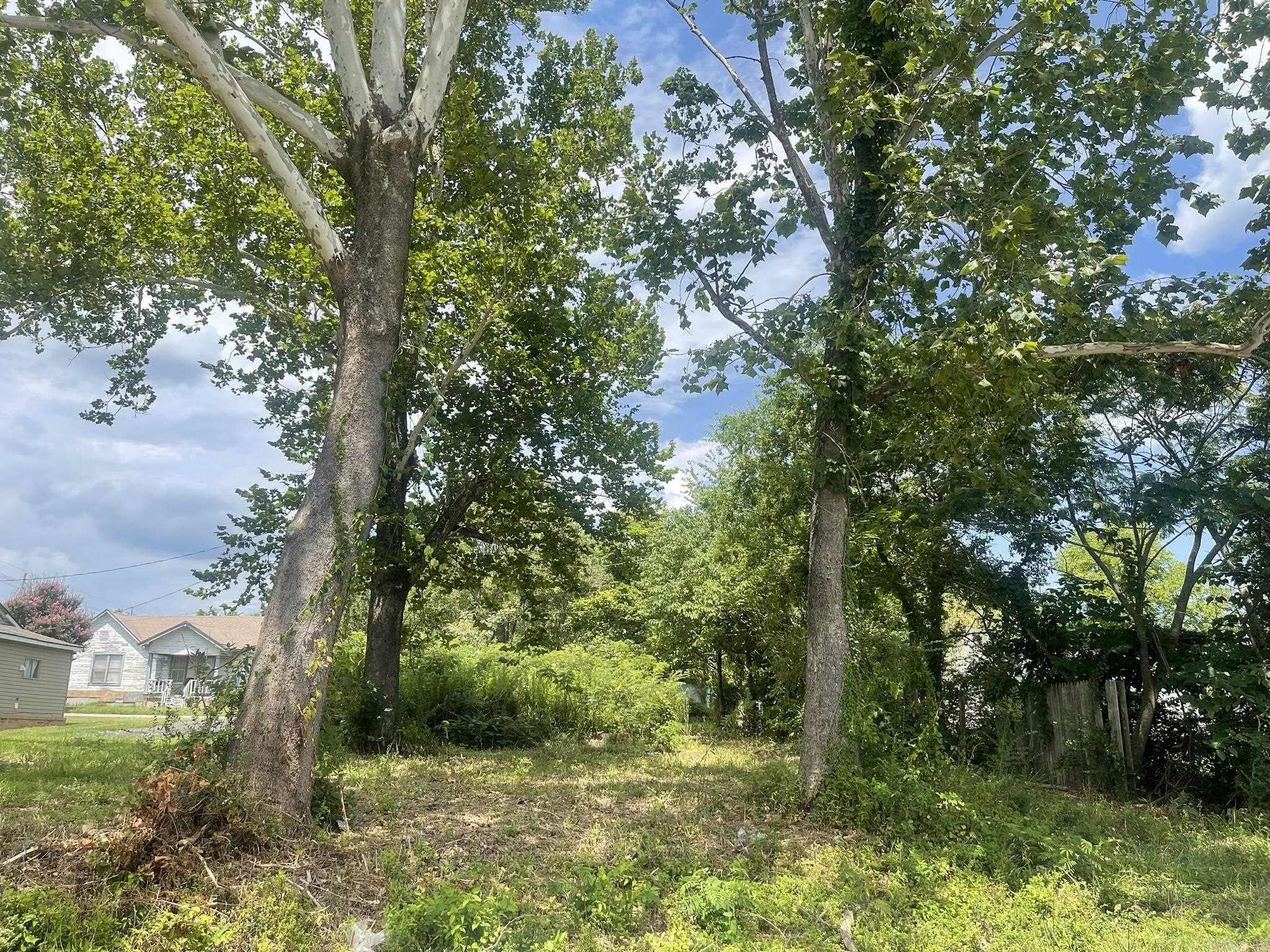 Situated in the heart of Mena, this property provides convenient access to restaurants, all of Mena's downtown amenities, and close to the proposed Mena bike trails. Ideal location for new home construction or establishing an Airbnb. Nice, level lot - fronts on two streets (Elm and Sherwood), all city utilities and sewer available. Priced to sell!