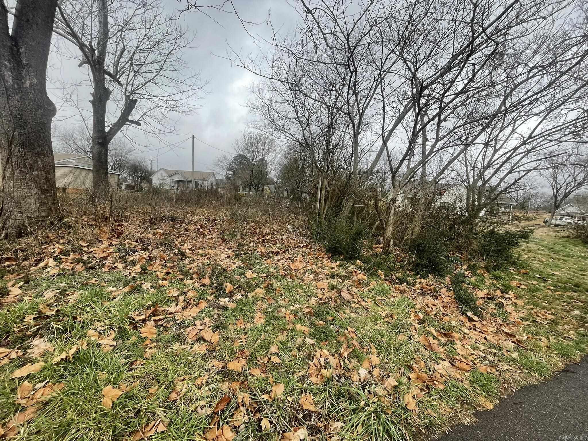 Mena Original - Land