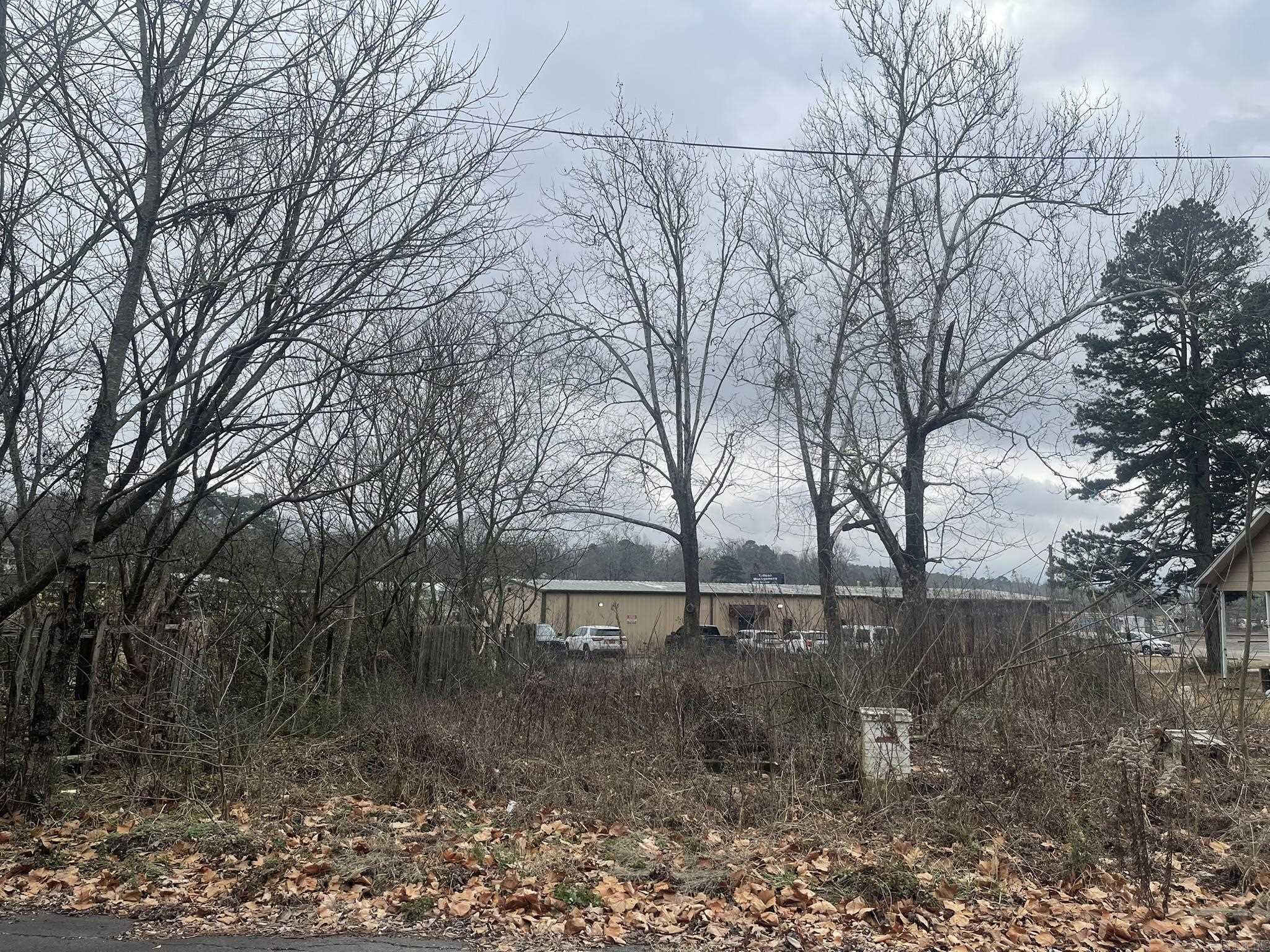 Mena Original - Land