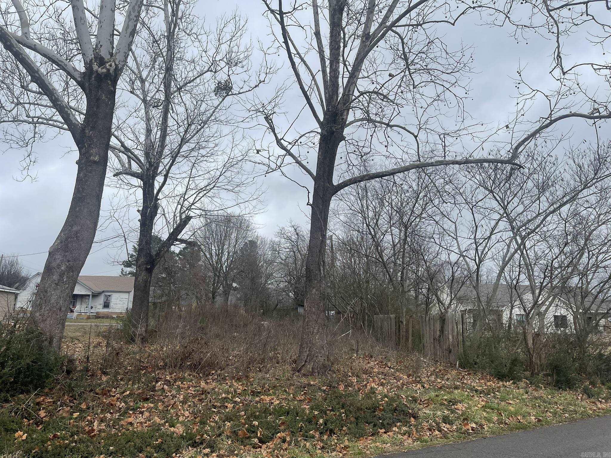 Mena Original - Land