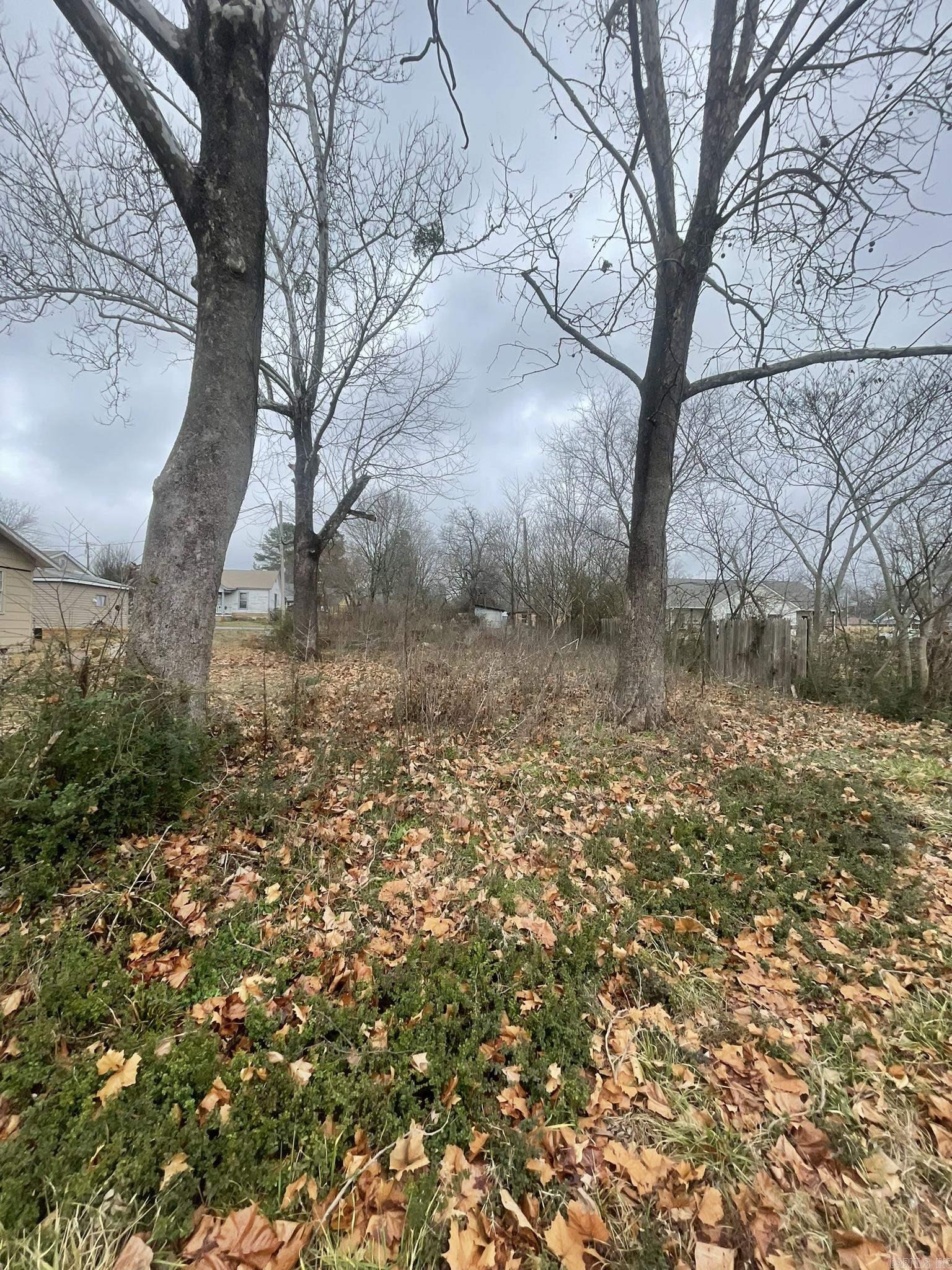 Mena Original - Land