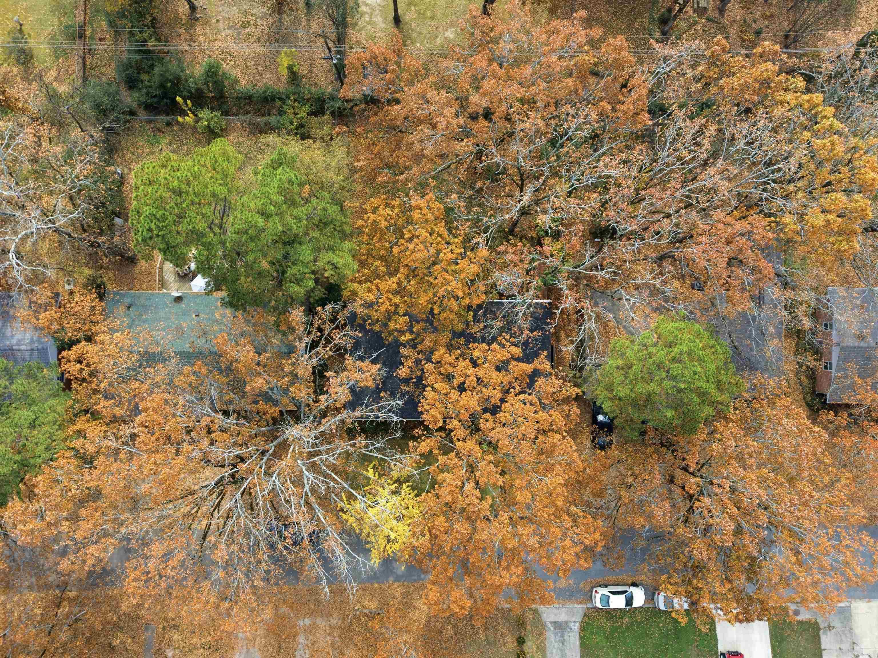 GLENWOOD HGTS - Residential