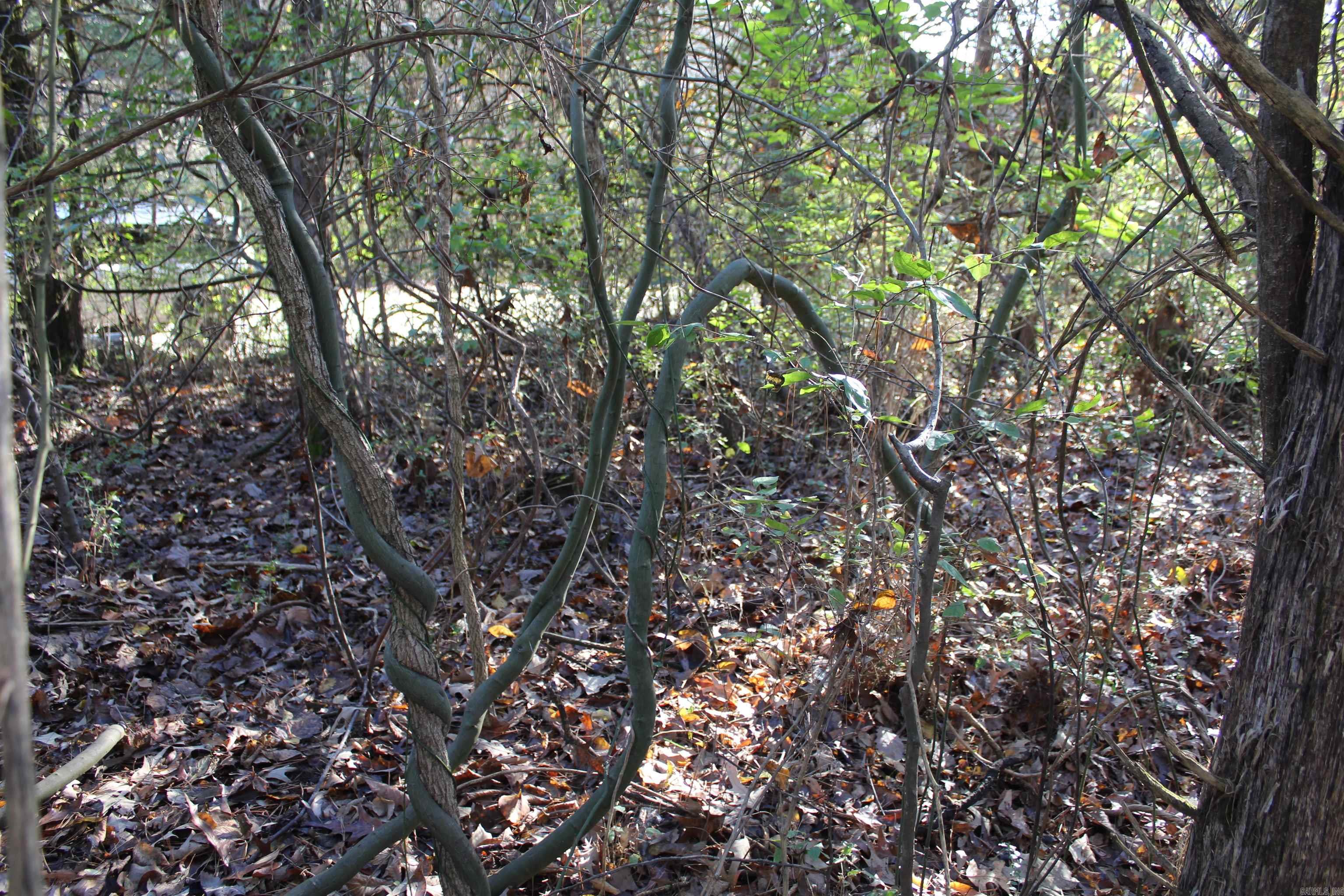 Not in Subdivision - Land