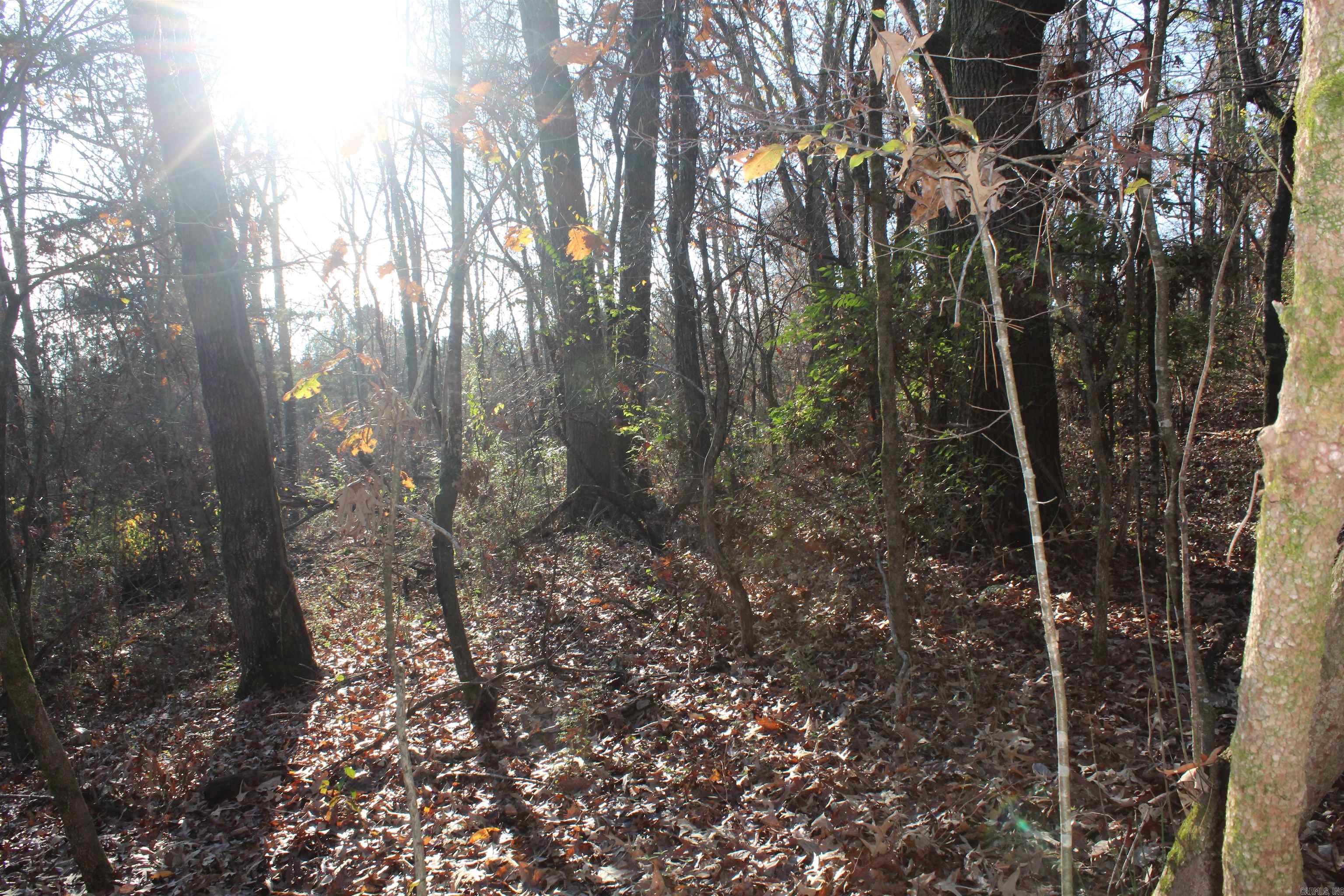 Not in Subdivision - Land