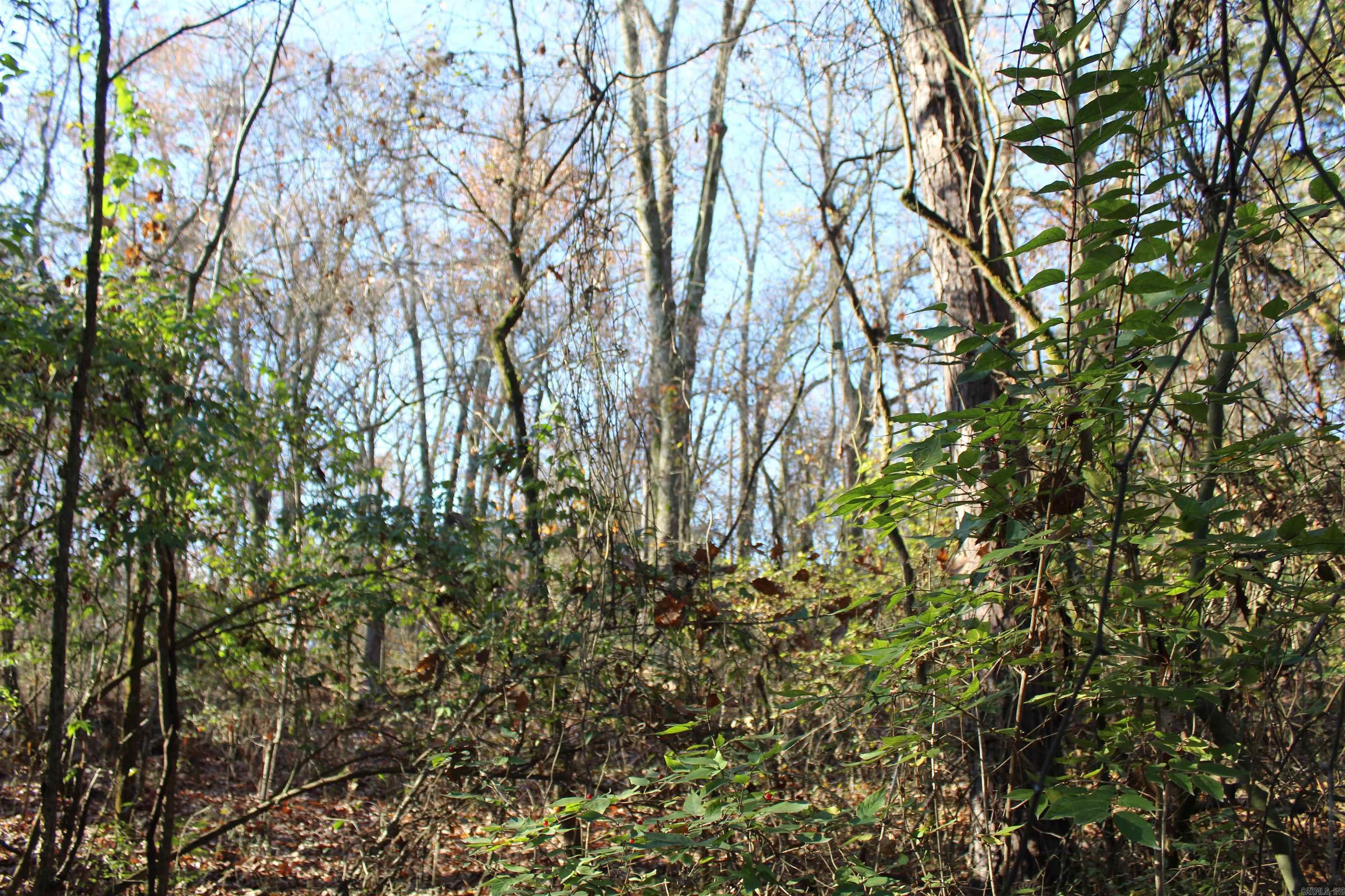 Not in Subdivision - Land