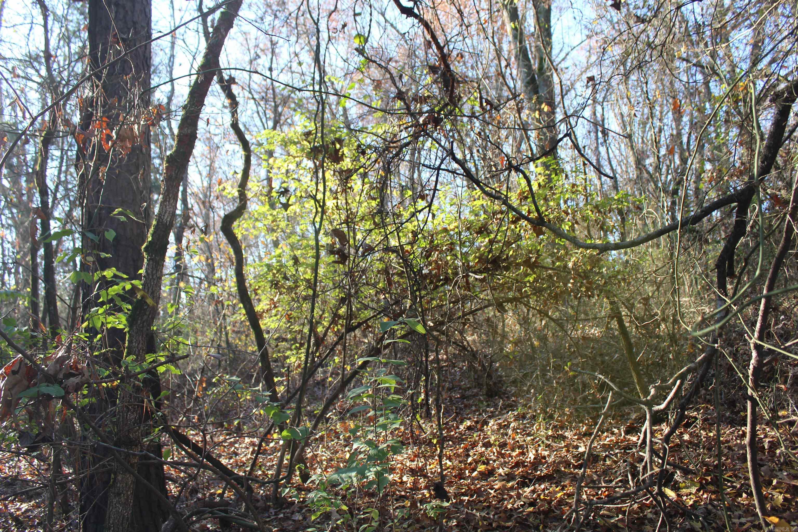 Not in Subdivision - Land