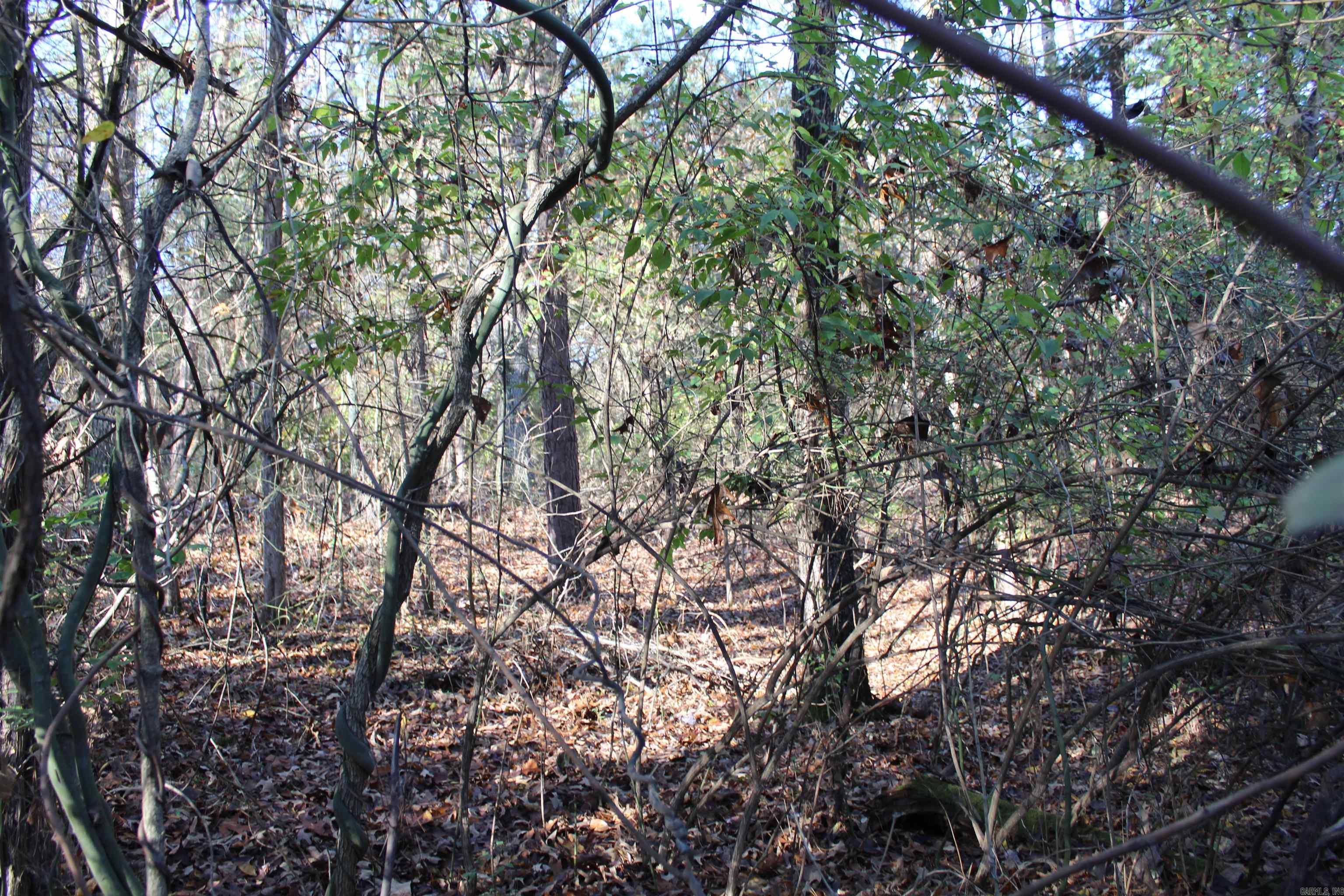 Not in Subdivision - Land