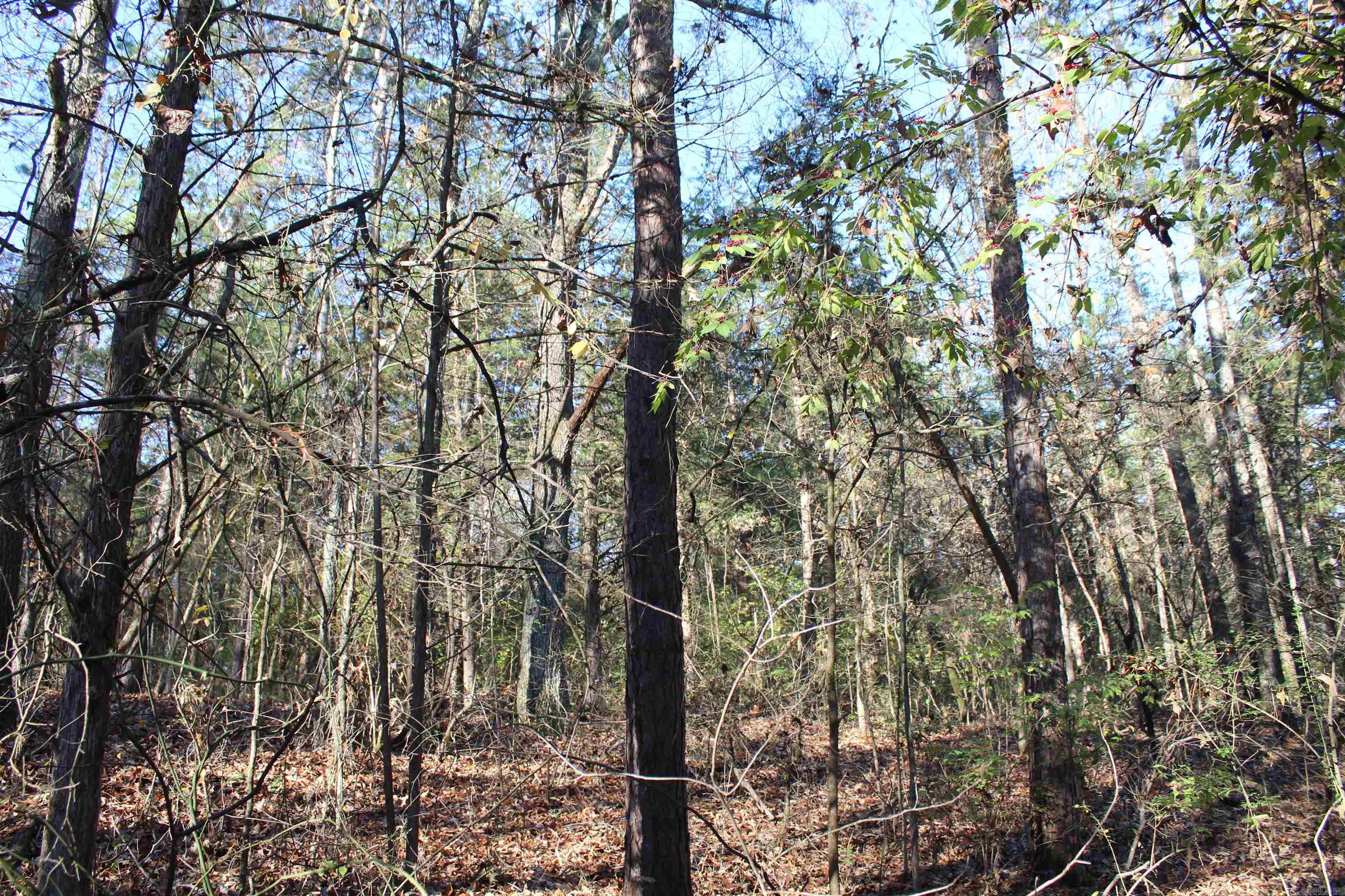 Not in Subdivision - Land