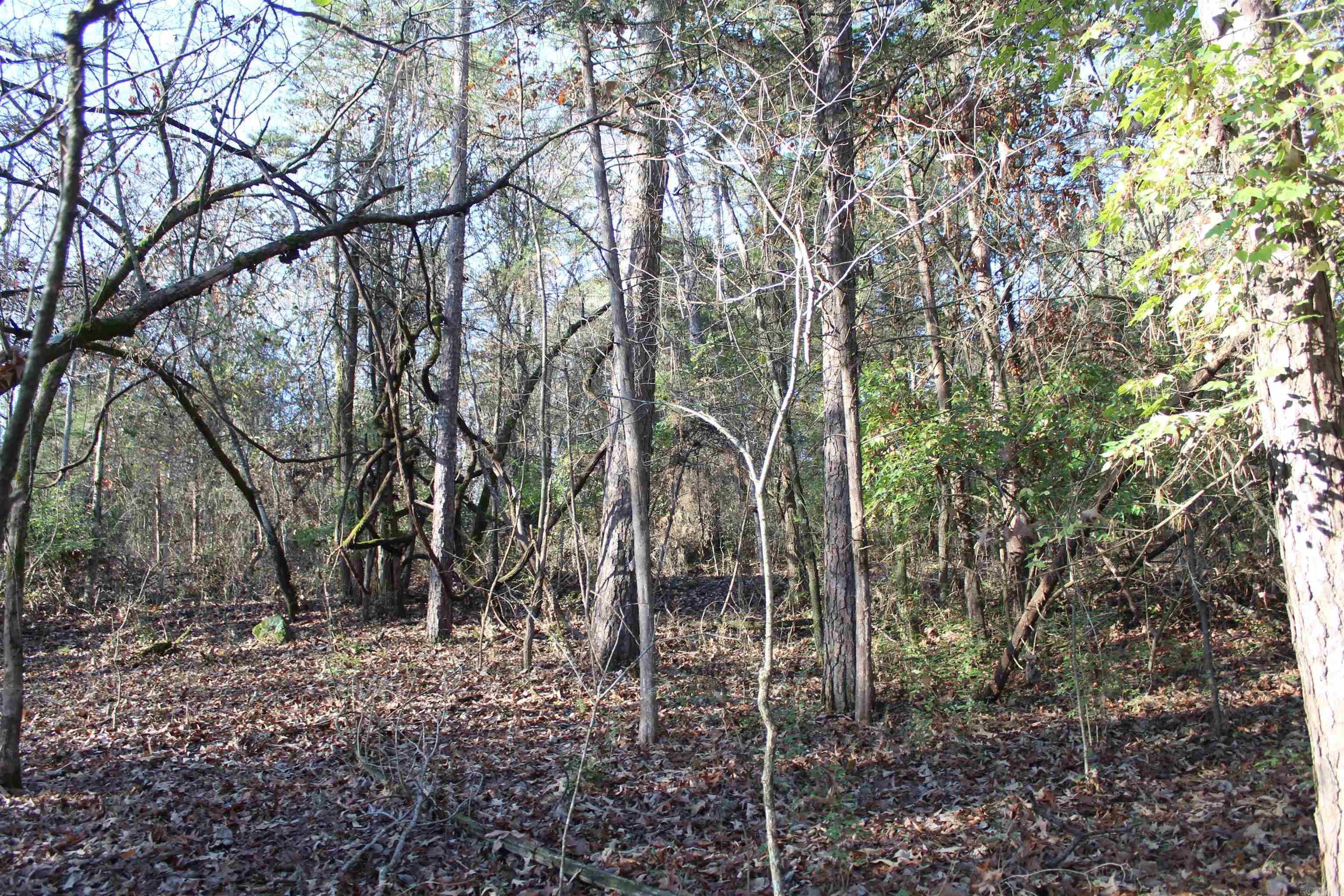 Not in Subdivision - Land