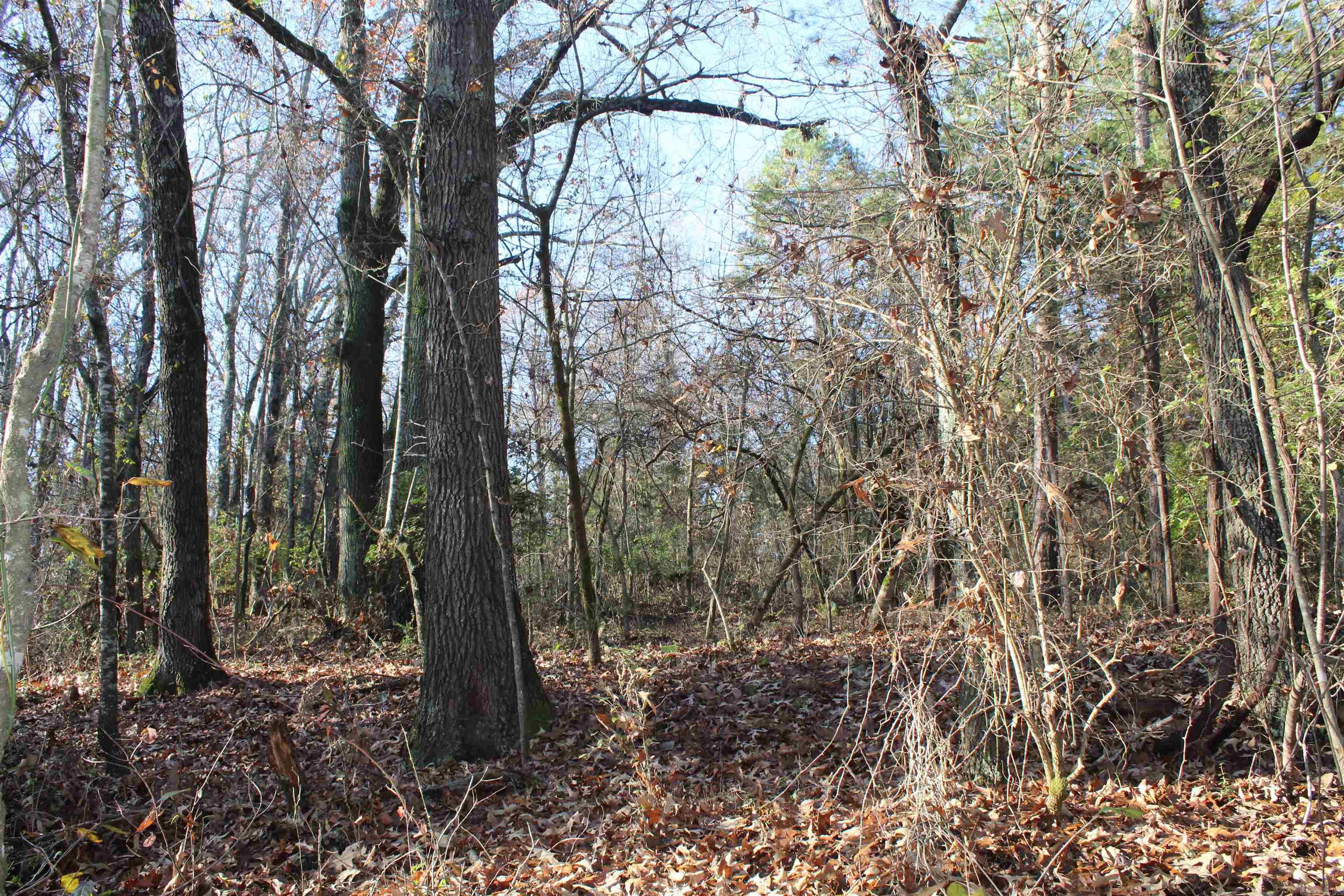 Not in Subdivision - Land