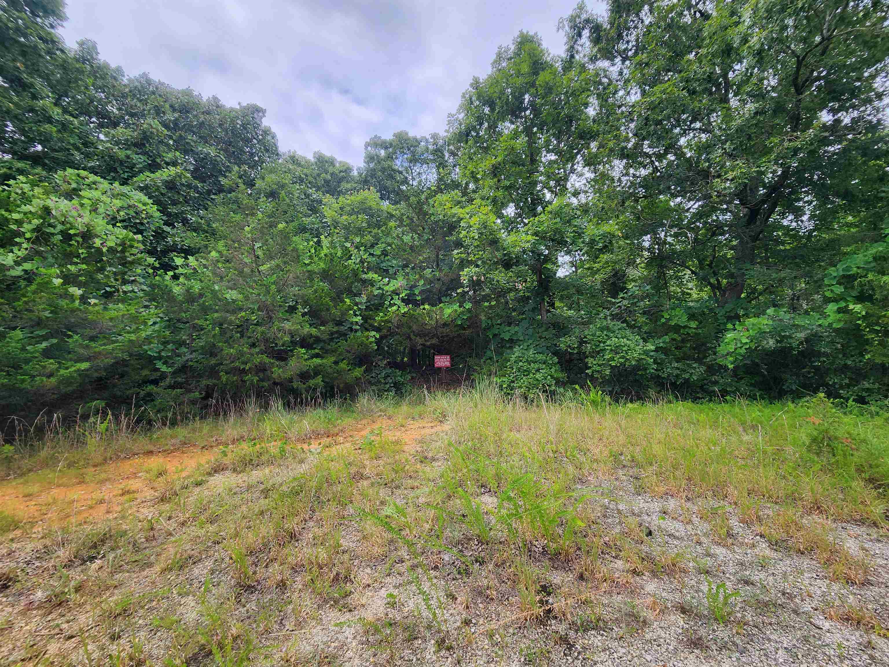 One gorgeous lot at the back of a cul-de-sac with no other homes in the actual cul-de-sac yet, only one close neighbor and only 3 on the entire street. This is a wonderful, wooded lot that backs up to a wet weather creek. The street ends at the North side of Diamond Lake. Just one of several lakes in Horseshoe Bend. Build your home atop the hill that creates this Cul-de-sac and be less that a .25 mile up the hill from the lake. Lots of nice Oaks and cedar trees. Come pick out your spot to build your getaway cabin, vacation home or forever home. Horseshoe Bend has several lakes for fishing and water sports, 2 golf courses, and lots of activities for entertainment. Come see this lot for yourself.