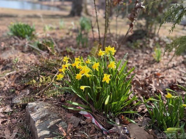 Segovia Courts #1 - Residential