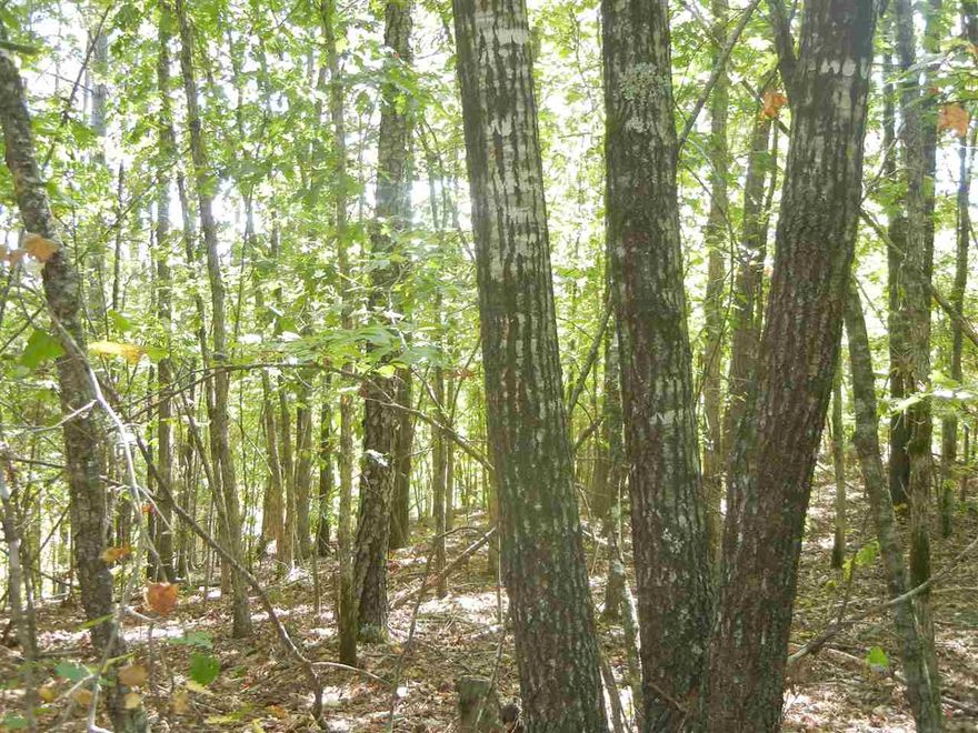 Lovely wooded acreage with hill top level building spot & seasonal creek. Newer manufactured homes or site built homes allowed. Gentle west slope, steeper east side that drops quickly down to seasonal creek. Property have very pretty overlook. Walk this affordable property before you buy. Electric and Garland County Water available.  Show anytime. Bring offer.