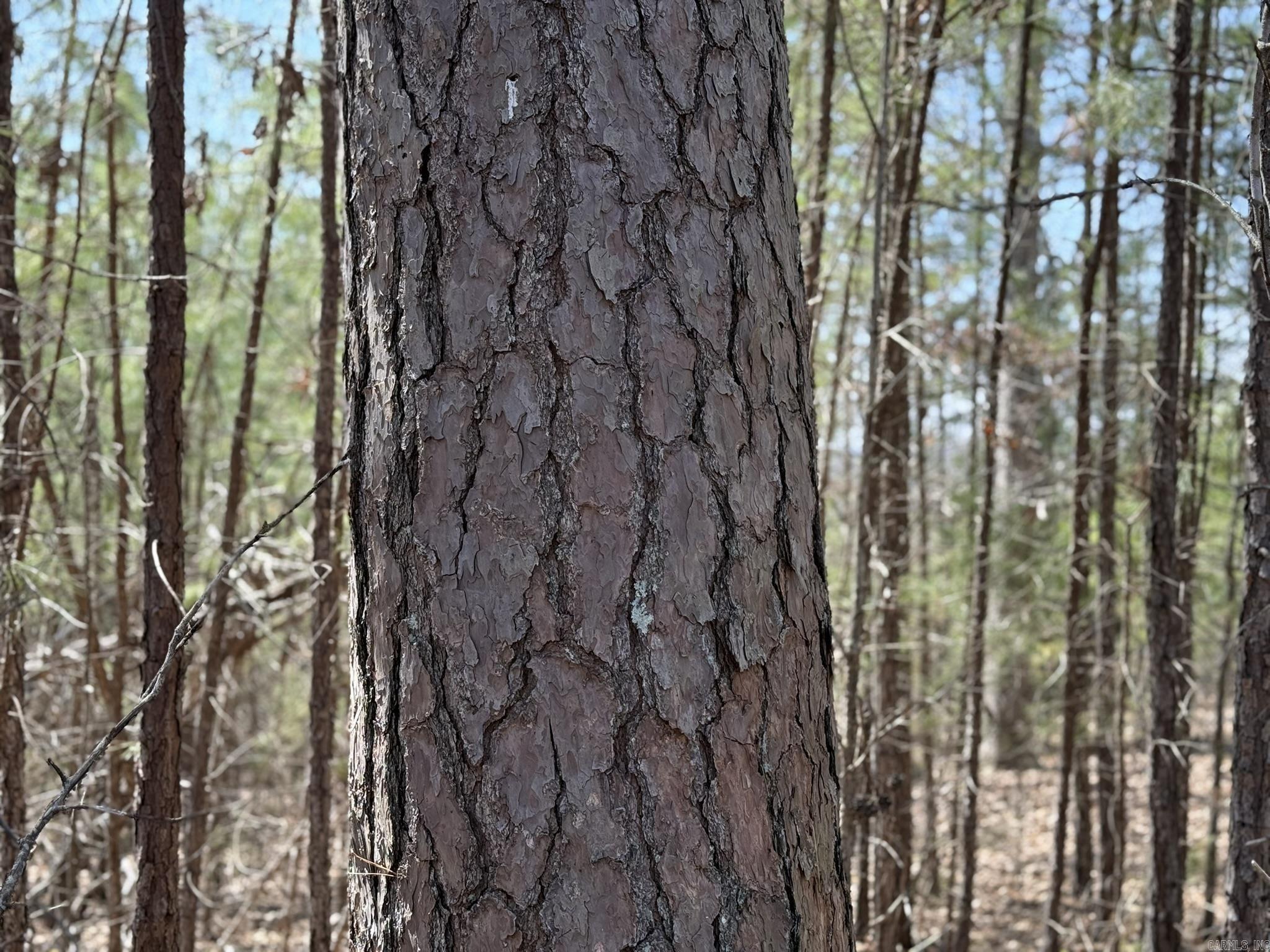 COMSTOCK COVE - Land