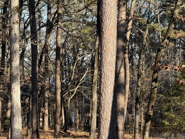 East Shores at Tannenbaum - Land