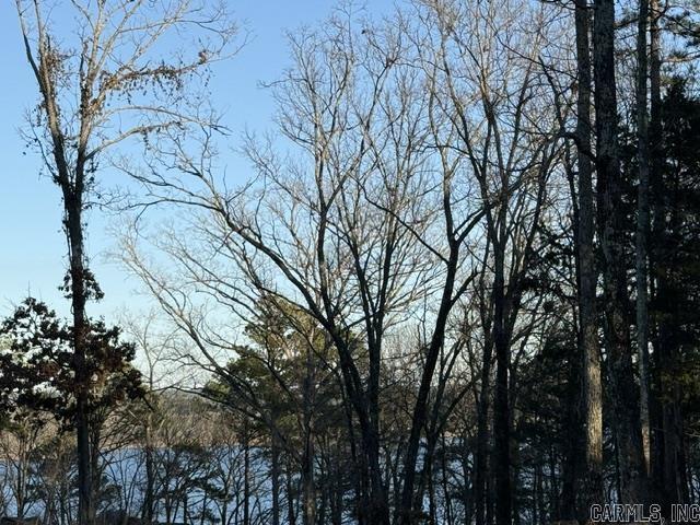 East Shores at Tannenbaum - Land