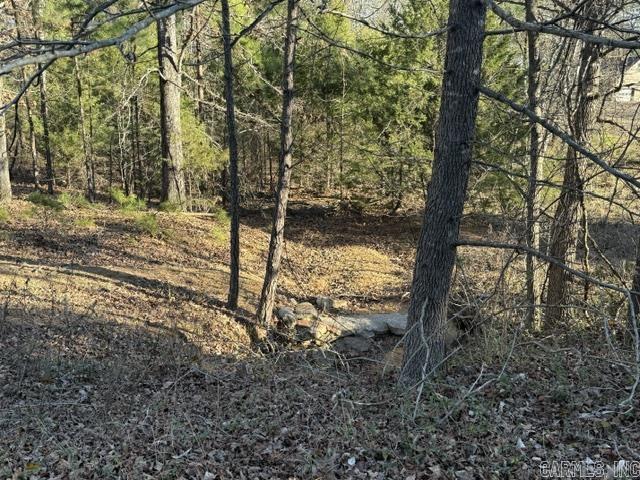 East Shores at Tannenbaum - Land