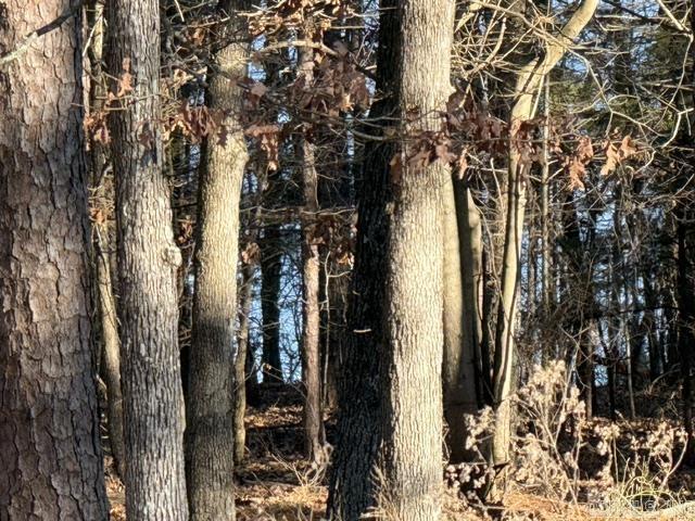 East Shores at Tannenbaum - Land