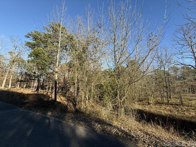 East Shores at Tannenbaum - Land