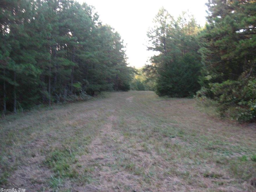 This 65 acre +/- tract will have to surveyed & the land has good deer & turkey  hunting. Mineral Rights are not available. Electric & water are at Harold Ln and there are several good level building spots available.