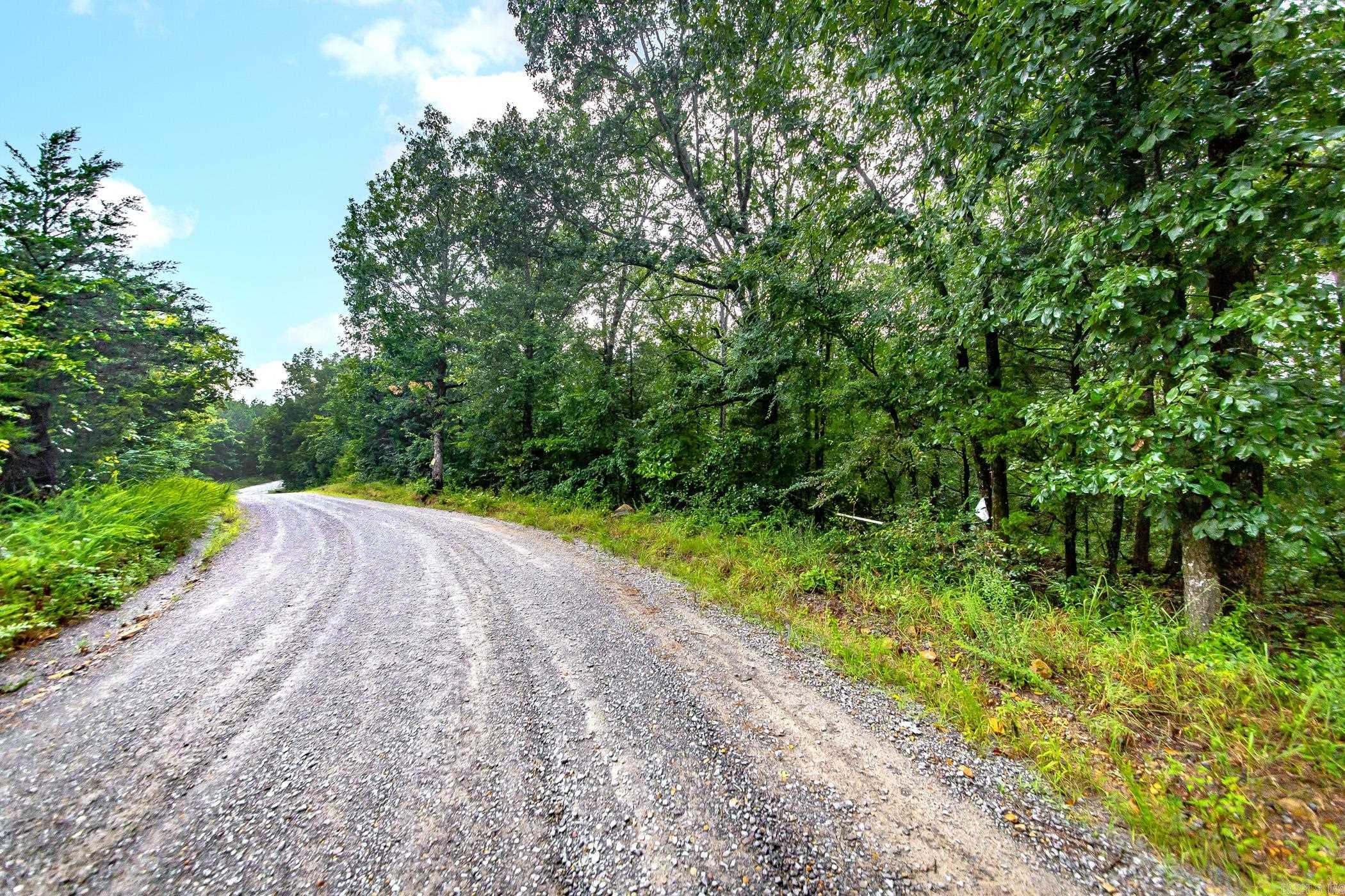 40 acres of timber that will make a great hunting camp or homestead w/ seasonal creek. The land lays well and all of it is usable. Close to Greers Ferry Lake.