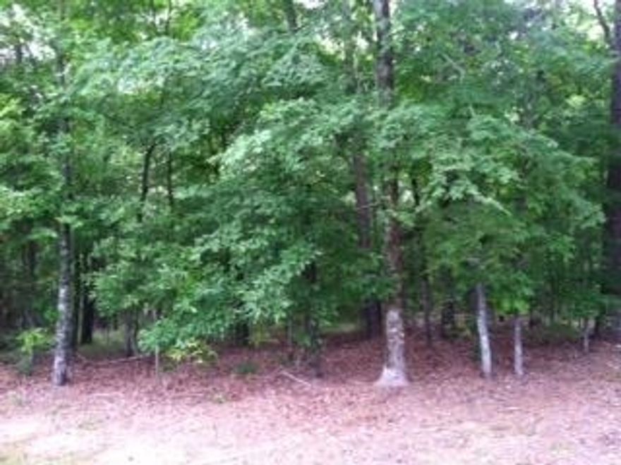 Beautiful level building lot on the 2nd fairway of the Ponce Golf Course...123 feet on the Golf Course!  Hot Springs Village is a gated community with 9 golf courses, 12 lakes, walking trails, fitness center, tennis facility and more.