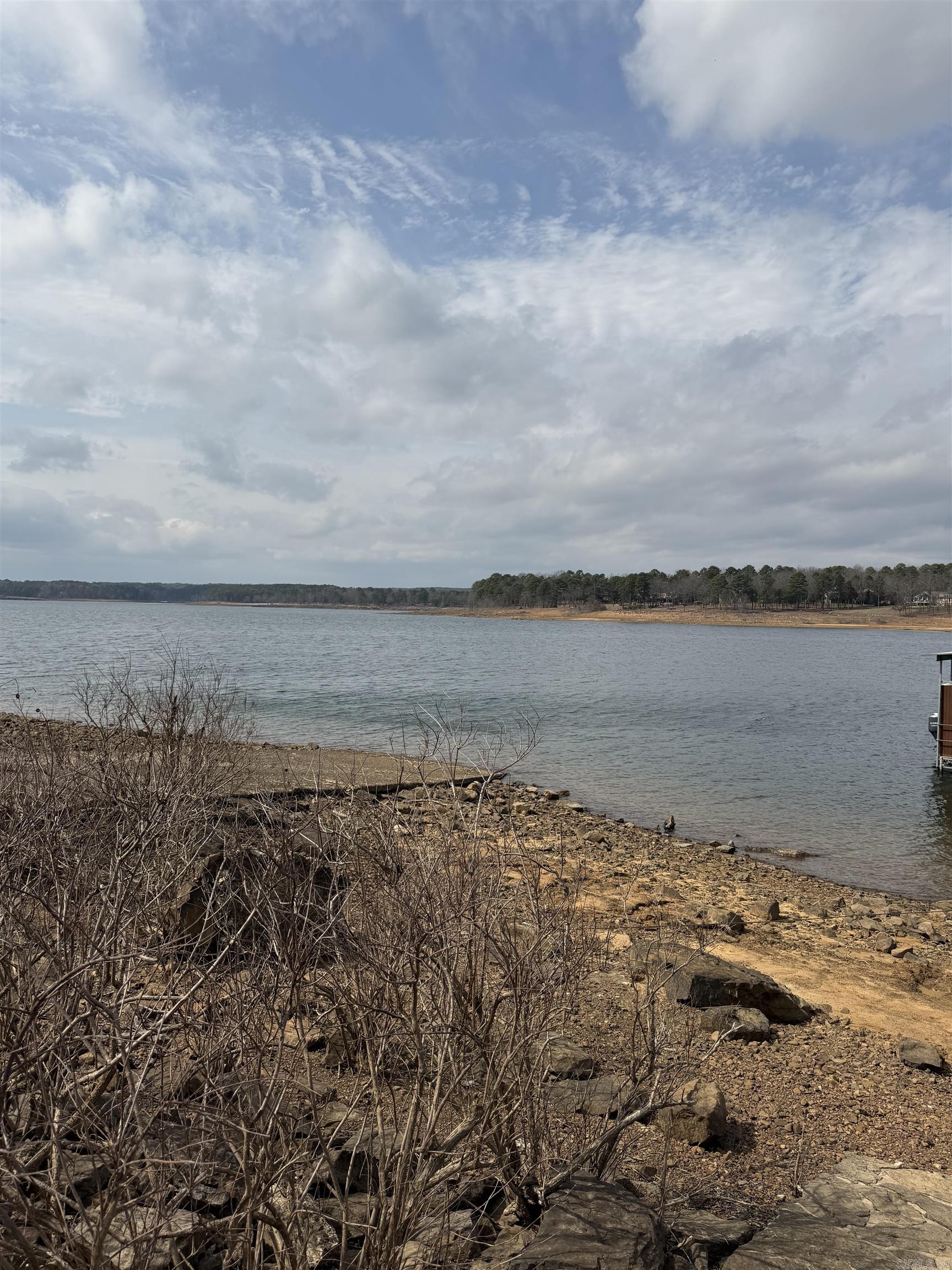 TANNENBAUM - Residential