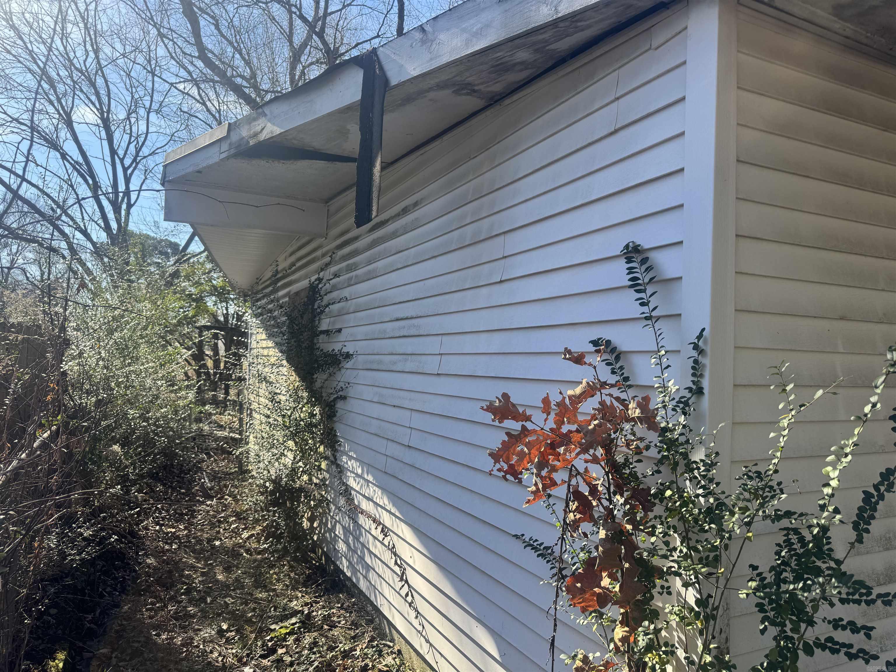 WINSTON - Residential