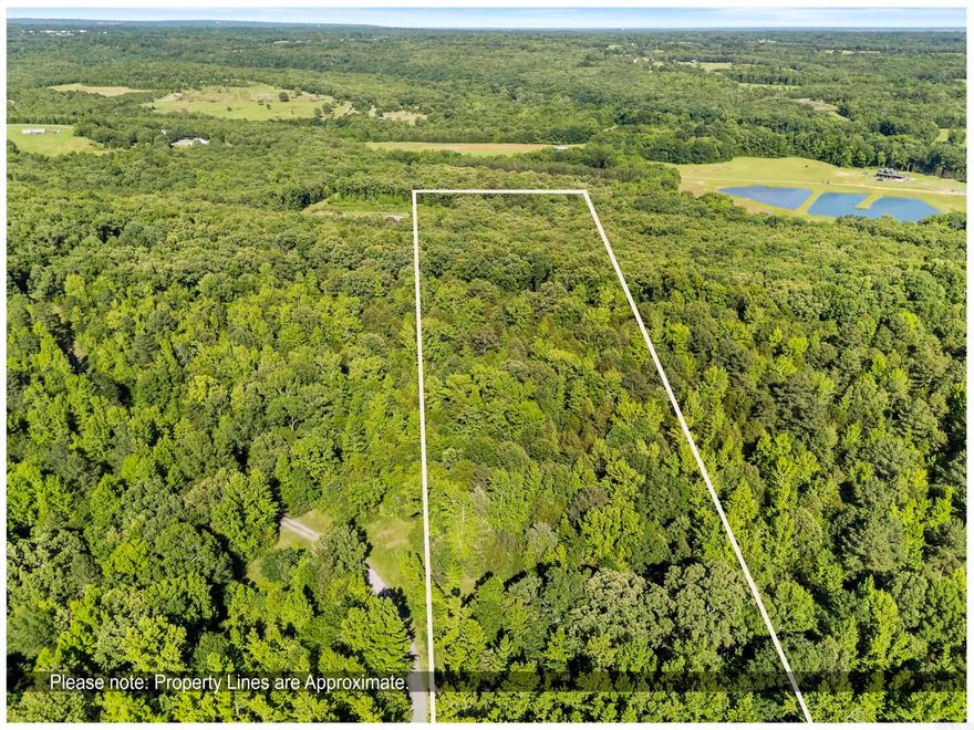 Enjoy peaceful country living just minutes from town on this scenic 3-acre property in Searcy, AR. A two-year-old road leads to the top of the lot, where panoramic forest views and a cleared, build-ready site await—perfect for your dream home or cabin. The land includes a sturdy stick-frame lean-to with awning for storage, gatherings, or outdoor projects. With its mix of level and sloped terrain, this acreage offers both beauty and versatility. Conveniently located just outside the city, you’ll enjoy privacy while still being close to local amenities. Whether you’re searching for a private homesite, recreational getaway, or investment property, this rare piece of Arkansas countryside offers easy access, natural scenery, and room to grow. Don’t miss your chance to make it yours—schedule your showing today!