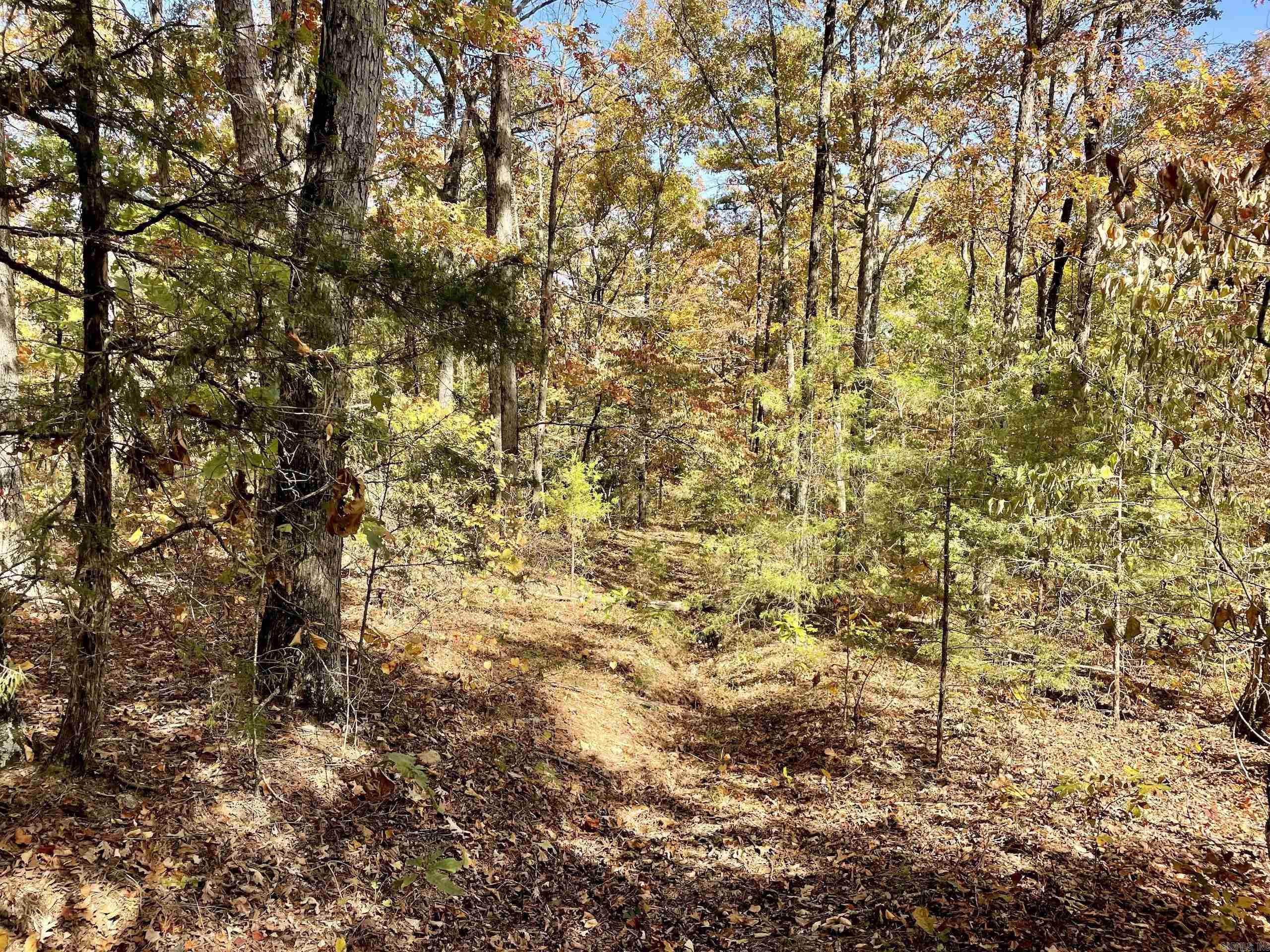 Not in Subdivision - Land