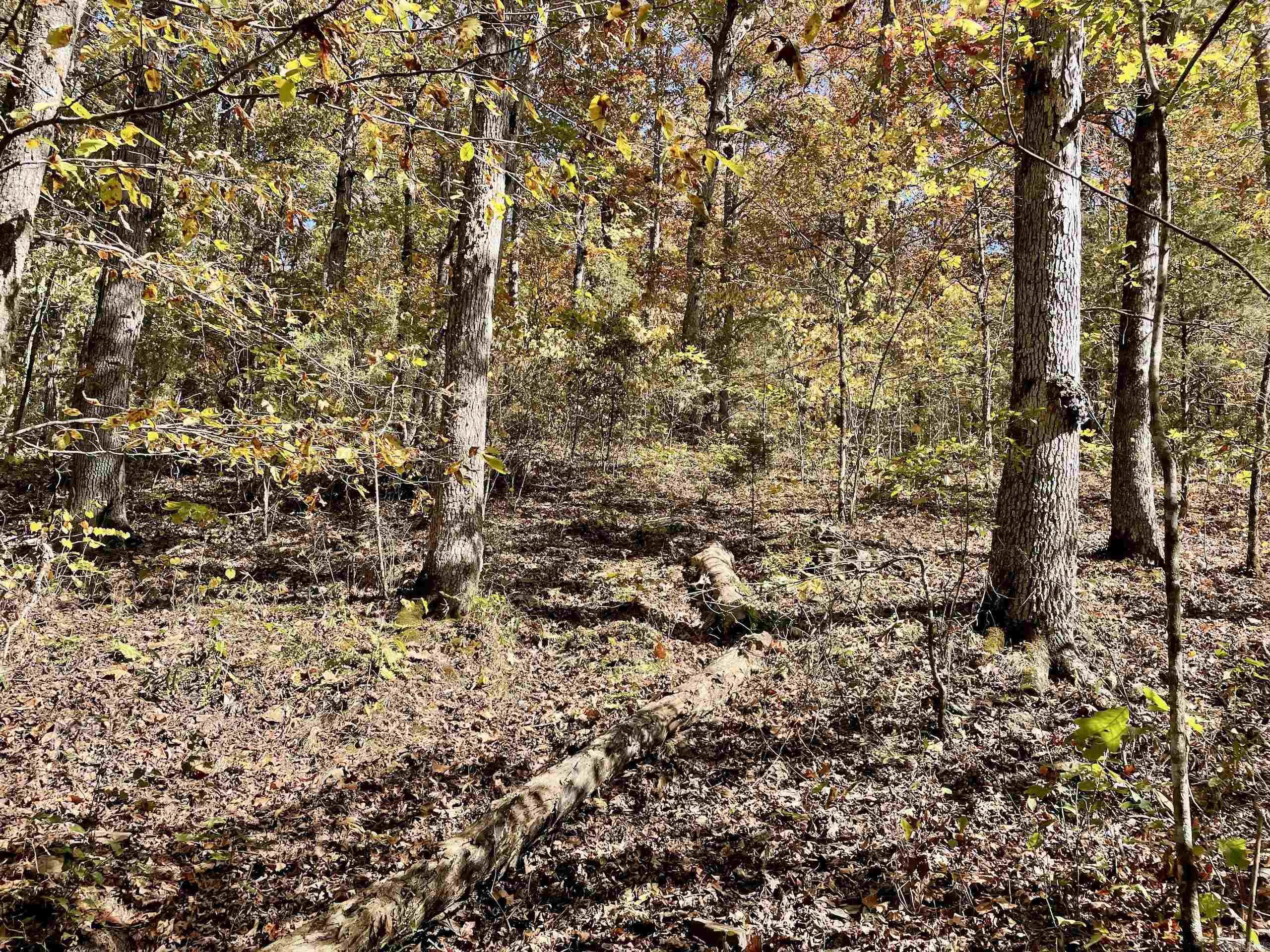 Not in Subdivision - Land