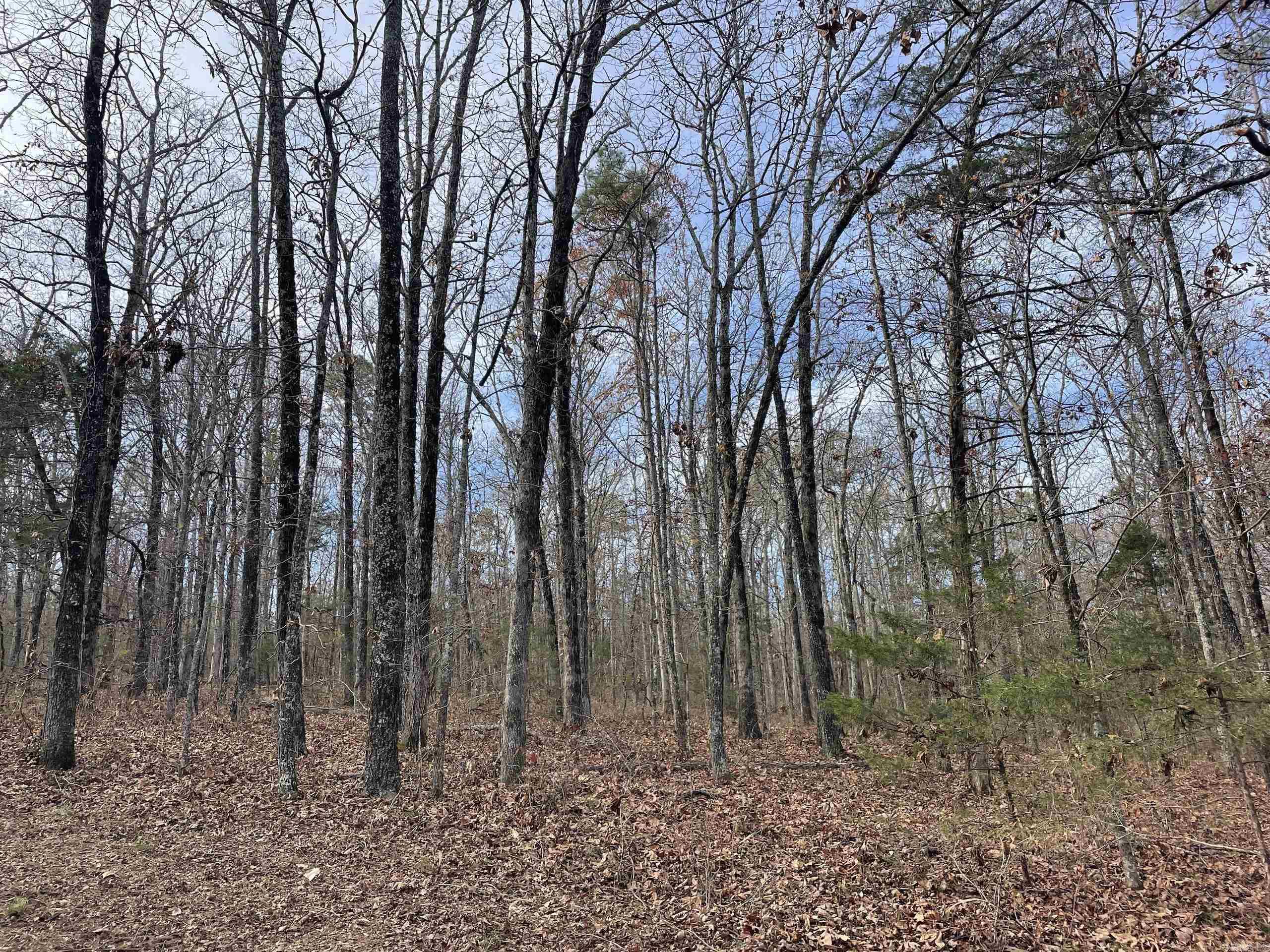 Not in Subdivision - Land