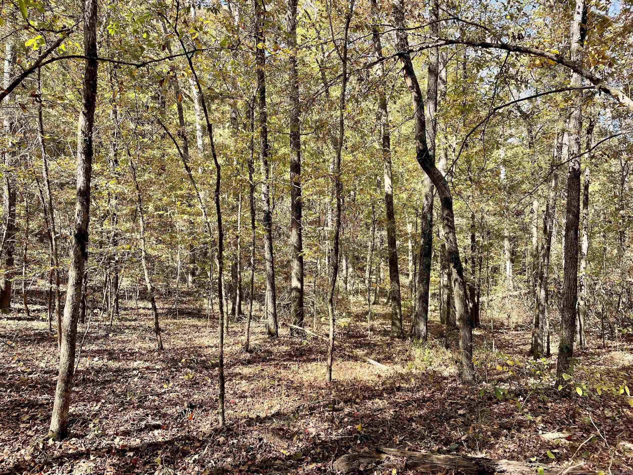 Not in Subdivision - Land