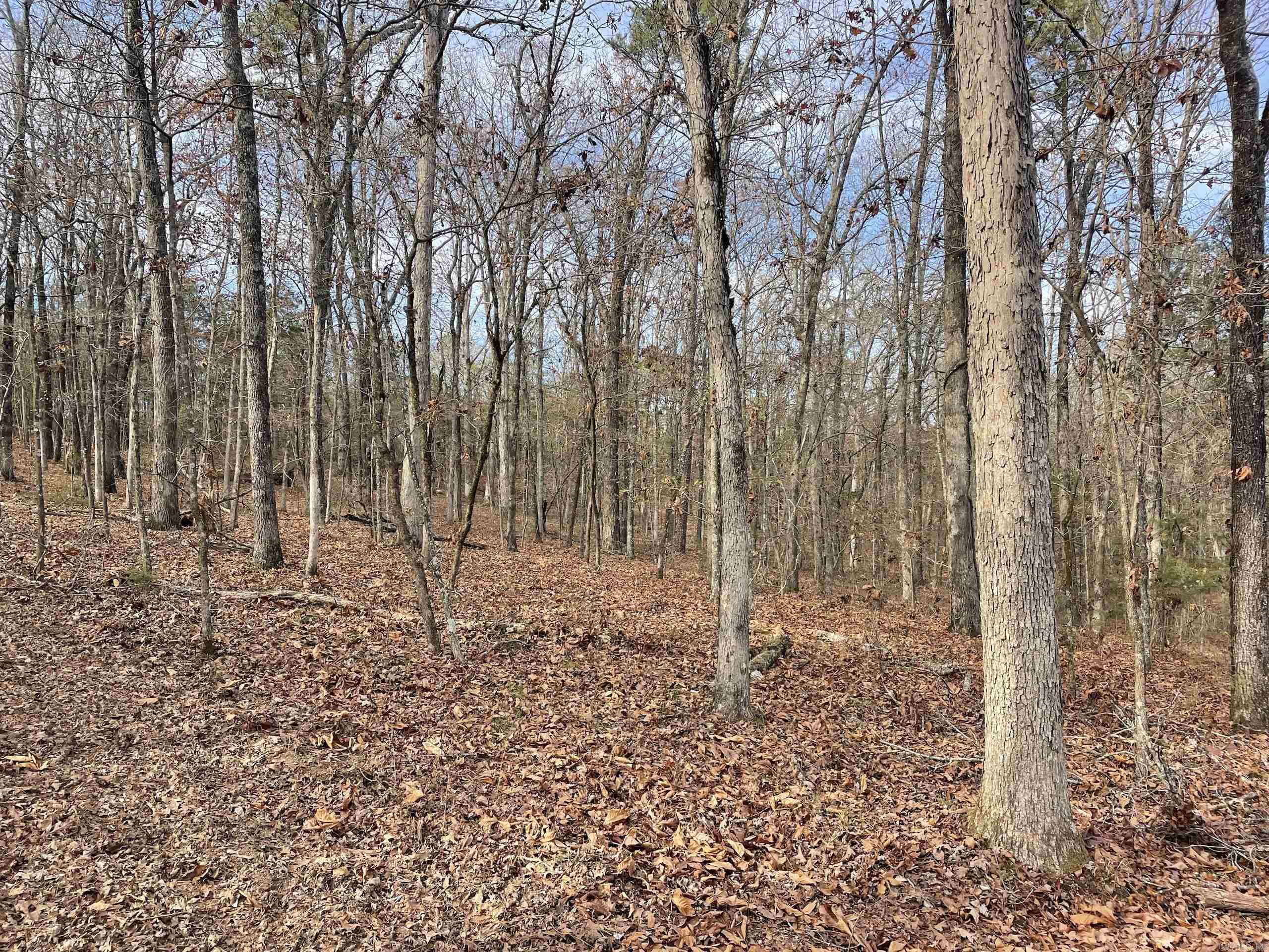 Not in Subdivision - Land