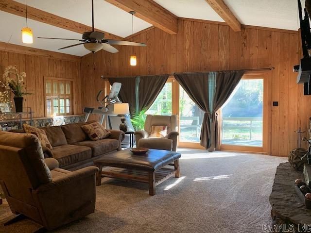 Swinging Bridge - Residential