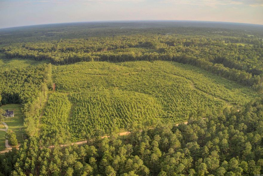 Great property to build! Quiet country setting and just 15 minutes from city of Benton. Take the opportunity to pick perfect site on the 29.25 for your perfect home.