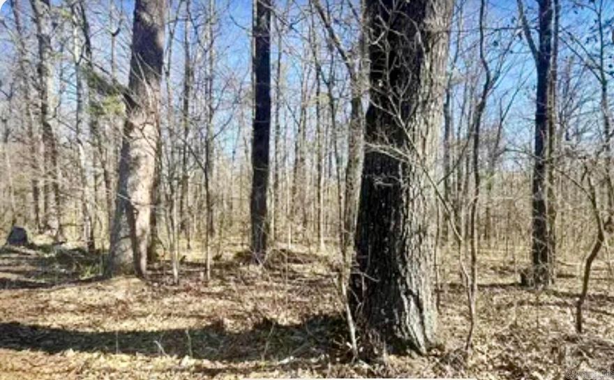 Opportunity for investment in a rapidly growing area and perfect for builders seeking a prime location for development. Margo lane is directly off of Baseline road and is paved & has electricity established on Margo Lane, not on parcel yet. PARCEL # 45L0520001500