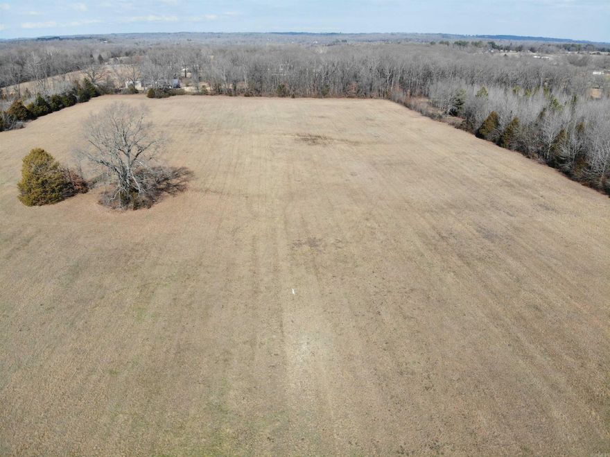 Looking for a place to build your dream house in a beautiful setting?  19.01 acres of land with tree lined borders. No meters on the property but water and electricity is near the property lines.  Level land ready to build, off Hwy 31 down private drive, existing easement to the property.