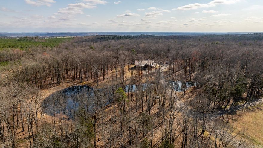 Looking for Privacy... This is your home. Follow the long driveway to this peaceful setting set among the trees. There are 2 ponds in the front yard stocked with bass and crappie. The drive splits the ponds and has large rocks as a border along the driveway. This custom-built home has many extra features: 10x14 safe room, woodburning fireplace with blowers, large pantry, 20x30 patio that could double as extra parking, and a balcony that overlooks the living room. The primary bedroom, 1 guest bedroom, 2 full and 1/2 bath are downstairs. Upstairs are 3 rooms that could be used as 2 bedrooms, an office/game room area and a full bathroom. Whole house generator wired to activate when the power goes out. Propane tank used for this only. Steel frame home with covered porches to watch the wildlife or enjoy the peace and quiet.