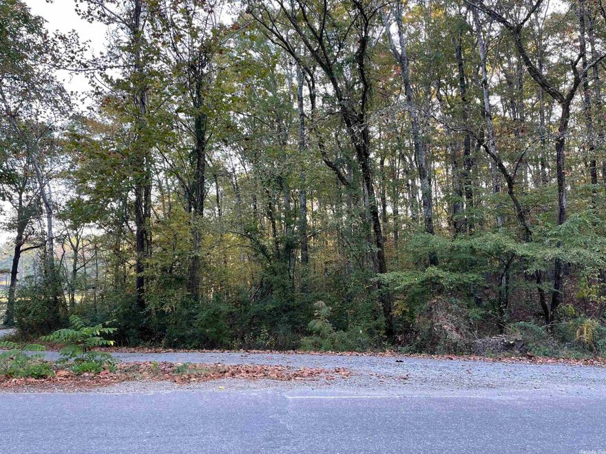 1.51 acres wooded lot. Would be great for building a new home or shop house! Located just minutes of highway 5 and I-30 on the north side of the interstate.