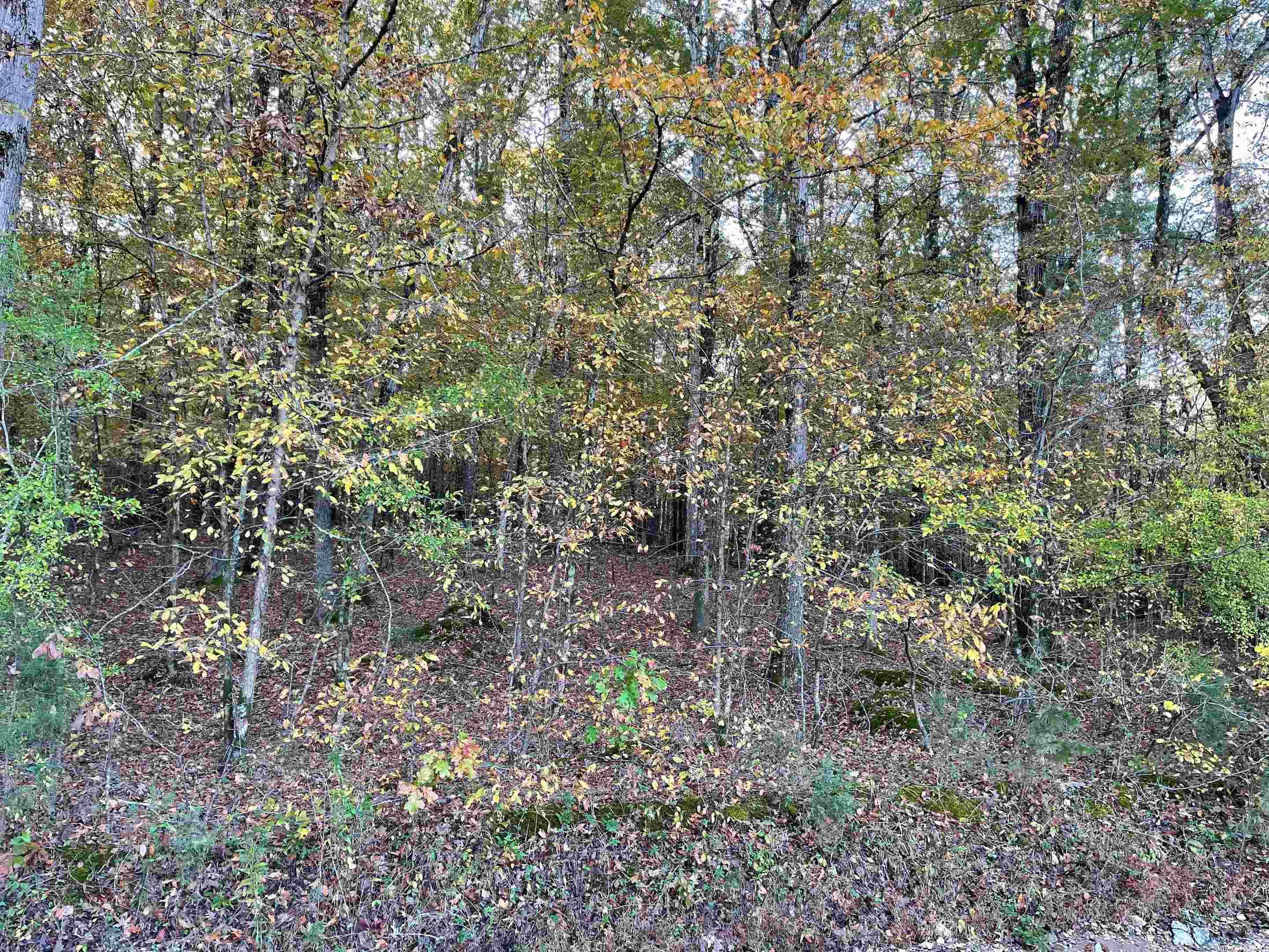 Not in Subdivision - Land