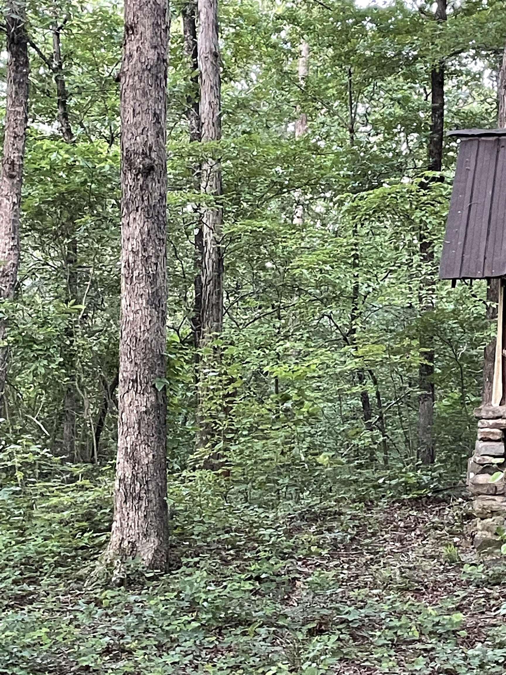 10 acres m/l located just outside of the community of Allred; AR. Mature hardwoods are abundant along with great building locations. Good deer and turkey population. There are two older structures that could be turned into weekend/hunting stays (not currently livable). County road frontage and again a ton of hardwoods. Electric, water and high speed internet on the property.