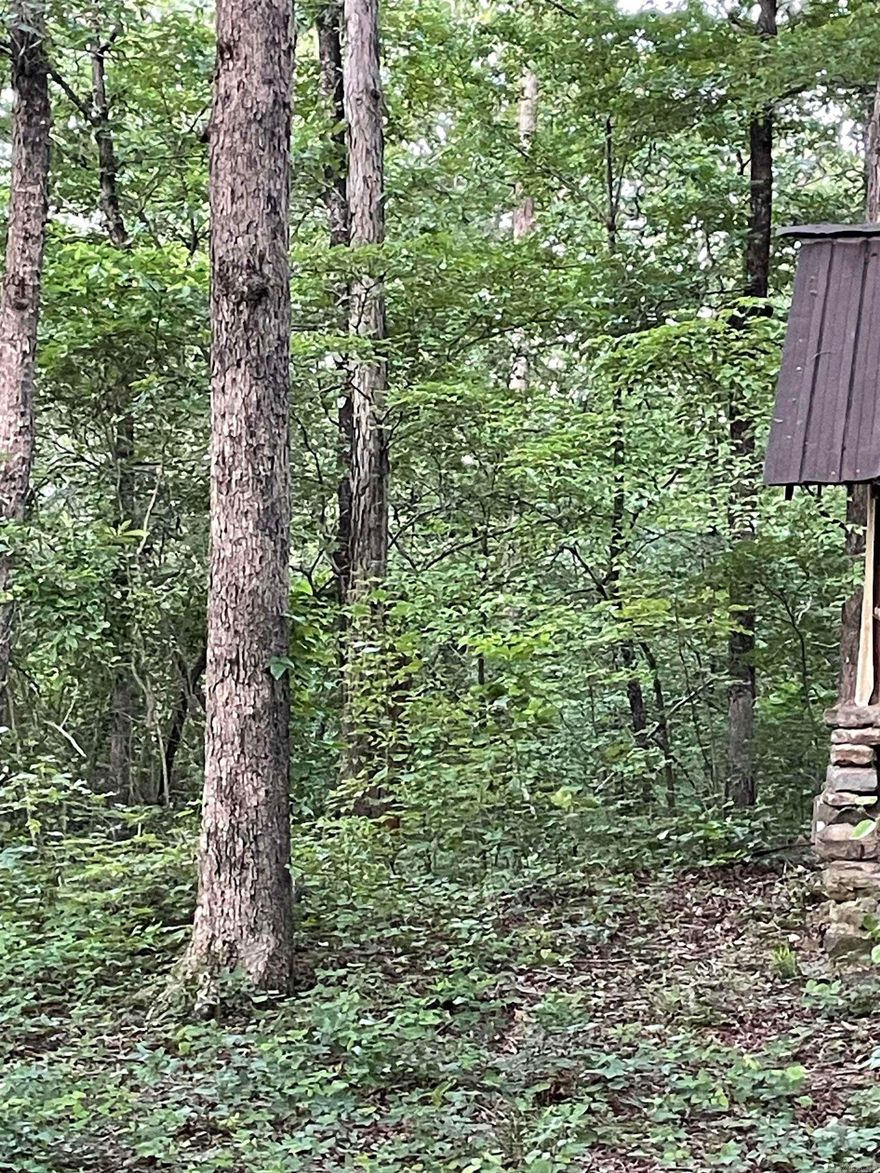 10 acres m/l located just outside of the community of Allred; AR. Mature hardwoods are abundant along with great building locations. Good deer and turkey population. There are two older structures that could be turned into weekend/hunting stays (not currently livable). County road frontage and again a ton of hardwoods. Electric, water and high speed internet on the property.