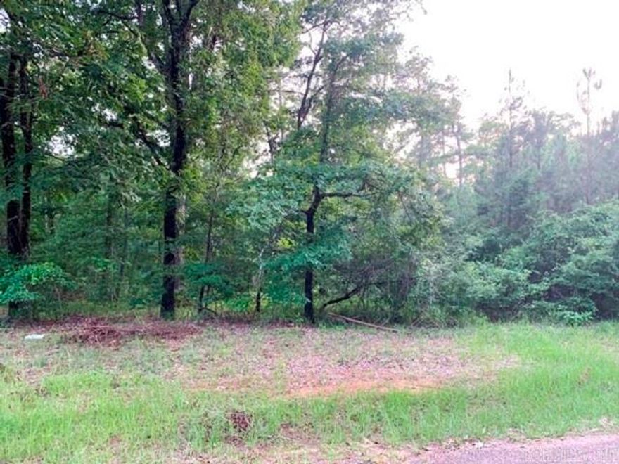 Want to build your dream home?  This 6.33 acre lot is just the spot!  Located in lovely neighborhood that offers space and privacy from neighbors yet right at city limits **Survey on file for review.  **NO MINERAL RIGHTS CONVEY WITH PROPERTY!!