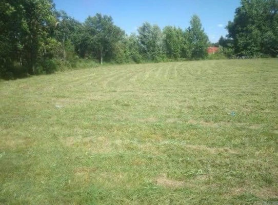ADDRESS PRIVATE, DAMASCUS, AR 72039 - Image 465f8b46e2ec70bc47565b1d7aedf729/241731250