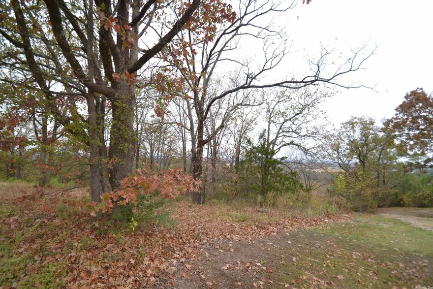 This is a beautiful site for your dream home. You will love the breathtaking views from the ridge that can make you feel like you are living in a tree house.  You will enjoy watching the wildlife playing in your back yard. The road frontage is cleared for building.  326 ft of road frontage  Mineral rights do not convey