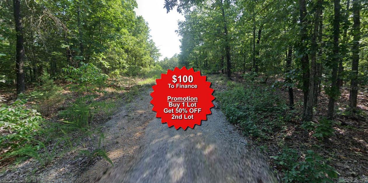 Buy one lot and get 50% off an additional lot! Owner-finance for easy terms. Cash buyers can pay by debit or credit card as well. Nice lot to develop or hold for future value. Public water and electric are available to run to property and will need septic. Owner/agent. No mobiles allowed. 1000 minimum build size on any other type of home, depending on subdivision. Finance is $100 down and 10 months at $99 and closing costs are included. Lots marked with red banner are part of promotion. No limit on lots. Buyer responsible for any/all taxes and lots sold "as-is". Quit claim deed conveys. Parcel ID# 355-19739-000