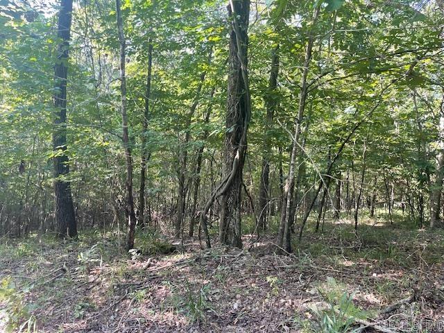 Private, wooded one acre lot within five minutes from boat ramp at Lake Norrell. Property is on private road and has perc test. No mobile homes.