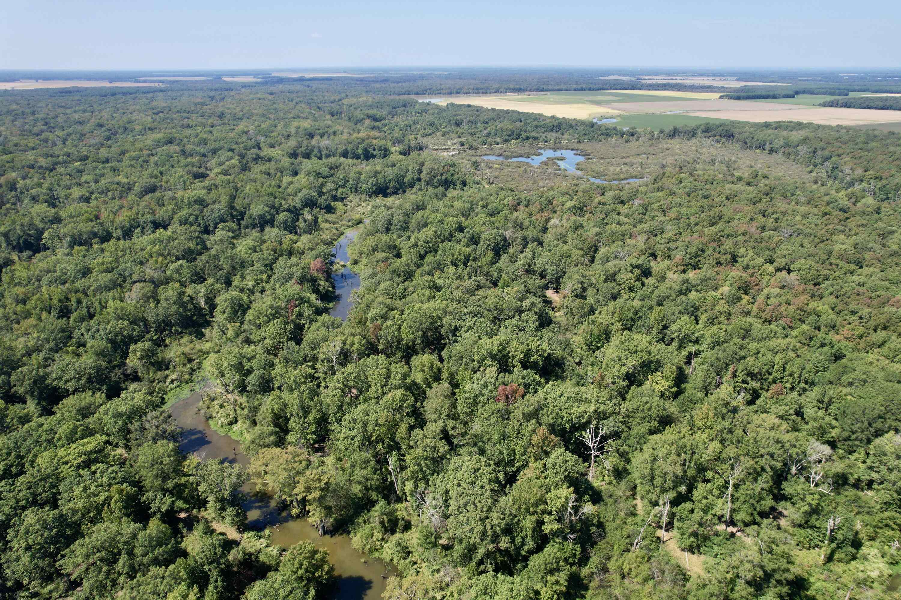 Metes & Bounds - Land