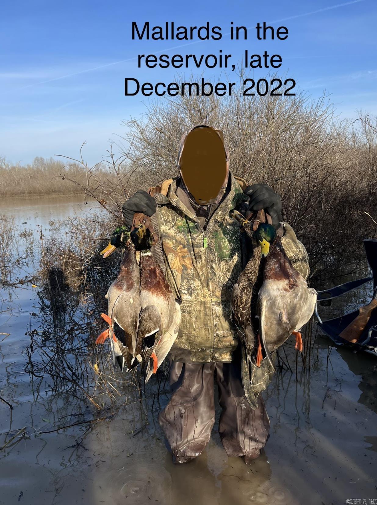 Metes & Bounds - Land